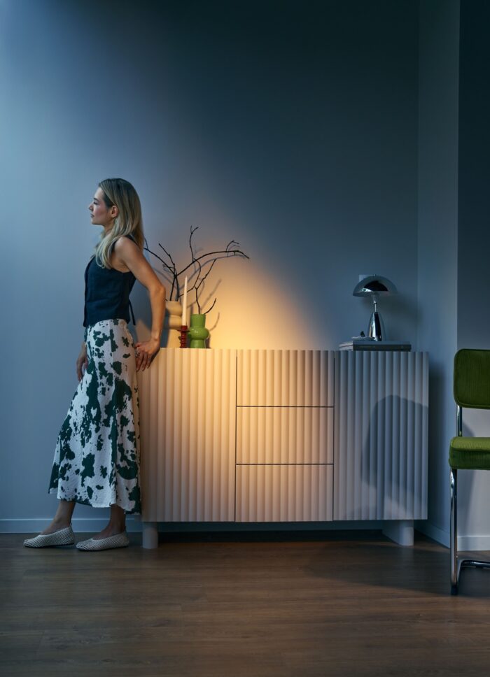 ELVA_komoda_dizaino_studija_follow11.lt_Jovita Bingelytė