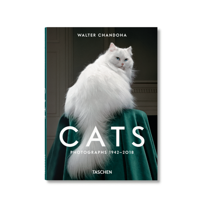 KATĖS_fotografijų-knyga_dizaino_studija_follow11.lt - Jovita Bingelytė