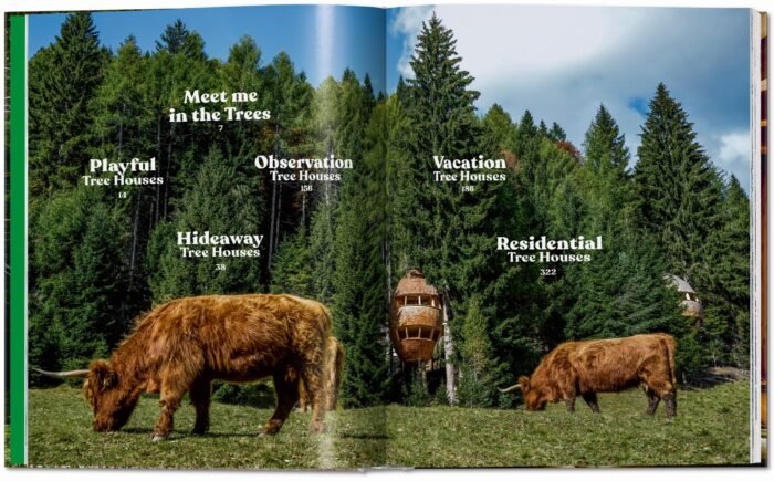 MODERN_TREE_HOUSES_knyga_dizaino_studija_follow11.lt - Jovita Bingelytė