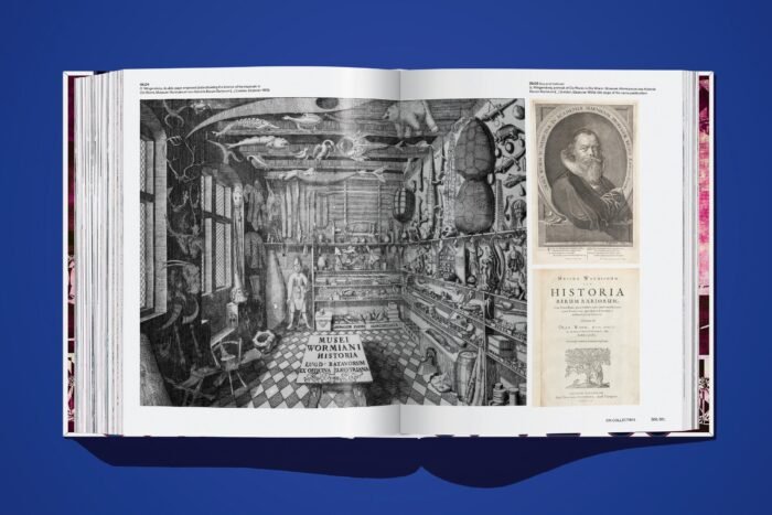 ON_NFTs_knyga_dizaino_studija_follow11.lt - Jovita Bingelytė