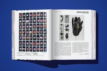 ON_NFTs_knyga_dizaino_studija_follow11.lt - Jovita Bingelytė