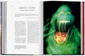 SPIRIT_WORLDS._THE_LIBRARY_OF_ESOTERICA_knyga_dizaino_studija_follow11.lt - Jovita Bingelytė