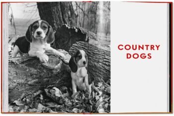 ŠUNYS_fotografijų-knyga_dizaino_studija_follow11.lt - Jovita Bingelytė