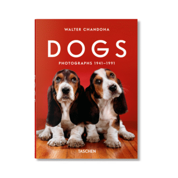 ŠUNYS_fotografijų-knyga_dizaino_studija_follow11.lt - Jovita Bingelytė