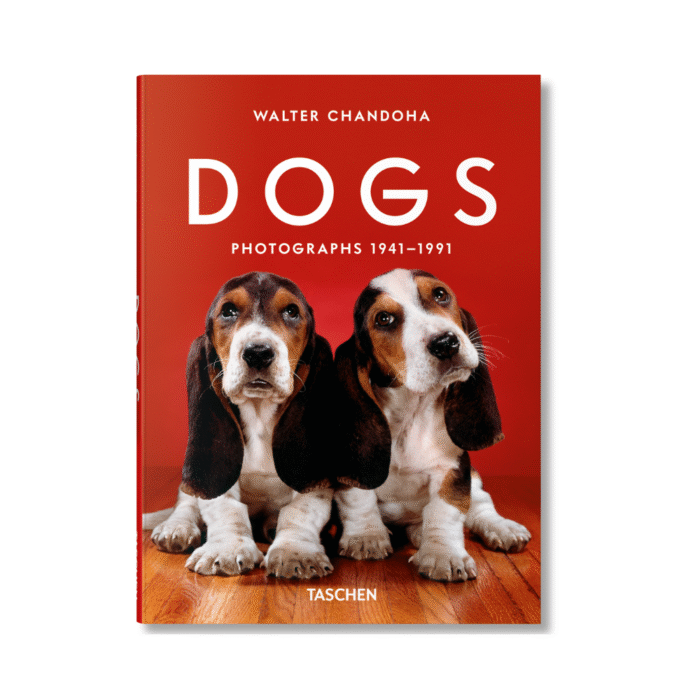 ŠUNYS_fotografijų-knyga_dizaino_studija_follow11.lt - Jovita Bingelytė