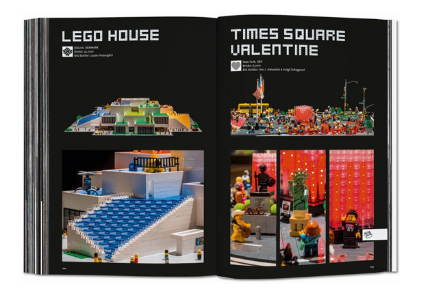 BIG._FORMGIVING._AN_ARCHITECTURAL_FUTURE_HISTORY_knyga_dizaino_studija_follow11.lt - Jovita Bingelytė