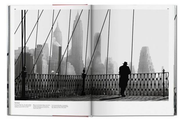 NEW_YORK._PORTRAIT_OF_A_CITY_knyga_dizaino_studija_follow11.lt - Jovita Bingelytė