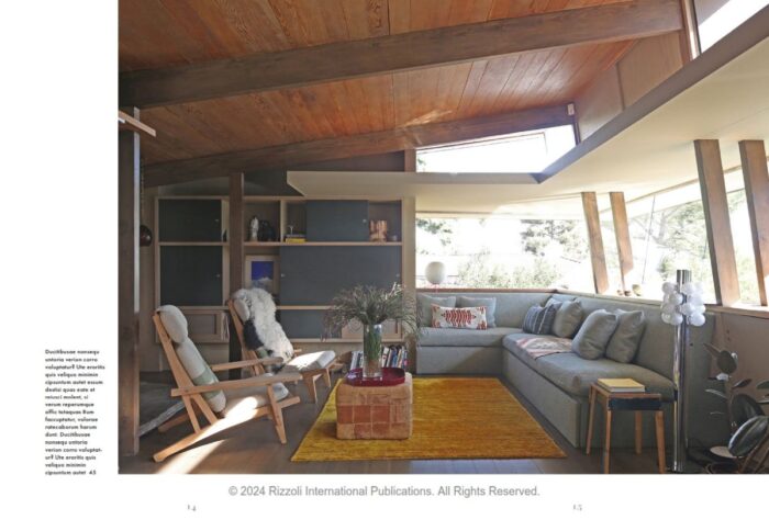 Knyga_CITY OF DREAMS: LOS ANGELES INTERIORS__dizaino_studija_follow11.lt-Jovita Bingelytė
