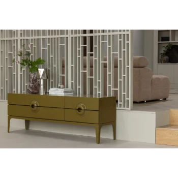 Tv_spintelė_ARNOT_dizaino_studija_follow11.lt-Jovita Bingelytė