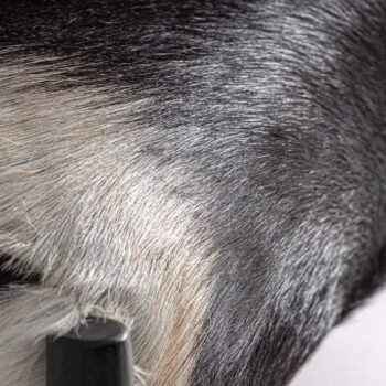 Fotelis_HANNA_dizaino_studija_follow11.lt-Jovita Bingelytė