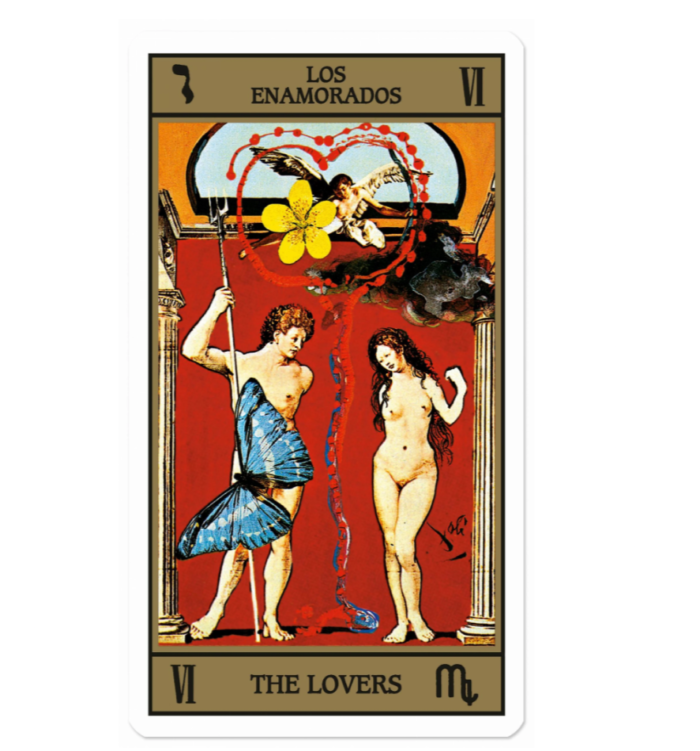 Knyga_DALI_TAROT_dizaino_studija_follow11.lt-Jovita Bingelytė