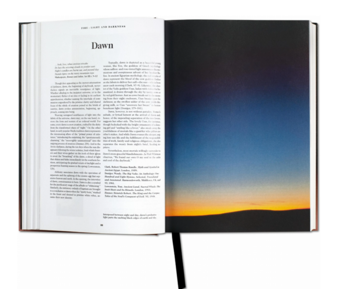 Knyga_Knyga_The-Book-of-Symbols.-Reflections-on-Archetypal-Images_dizaino_studija_follow11.lt-Jovita Bingelytė