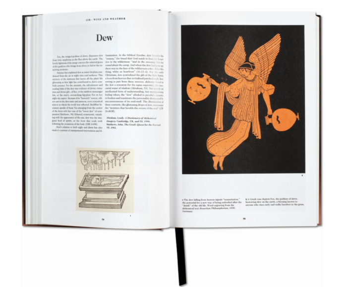 Knyga_Knyga_The-Book-of-Symbols.-Reflections-on-Archetypal-Images_dizaino_studija_follow11.lt-Jovita Bingelytė