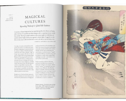 Knyga_WITCHCRAFT.-THE-LIBRARY-OF-ESOTERICA_dizaino_studija_follow11.lt-Jovita Bingelytė