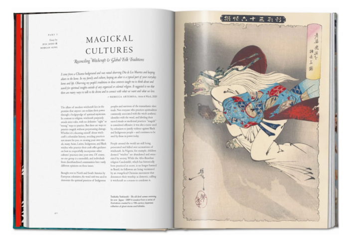 Knyga_WITCHCRAFT.-THE-LIBRARY-OF-ESOTERICA_dizaino_studija_follow11.lt-Jovita Bingelytė