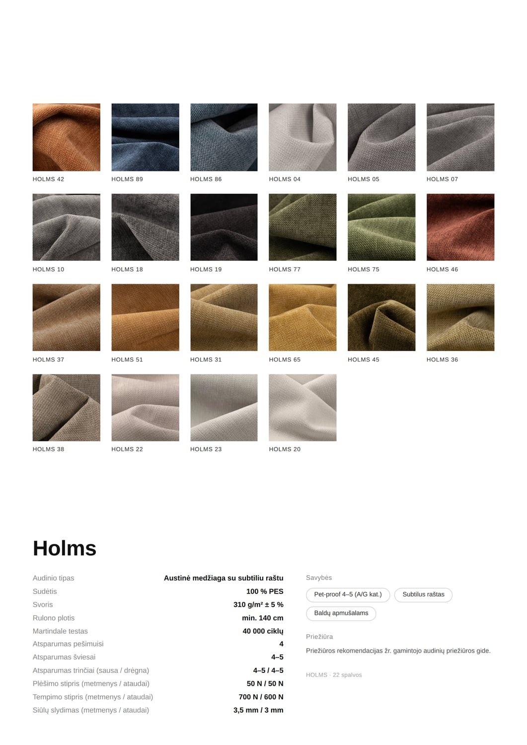 Audinys HOLMS
