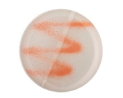 PAULA lėkštė, ORANGE