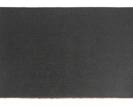 Durų kilimėlis TJALDA 40x60 cm
