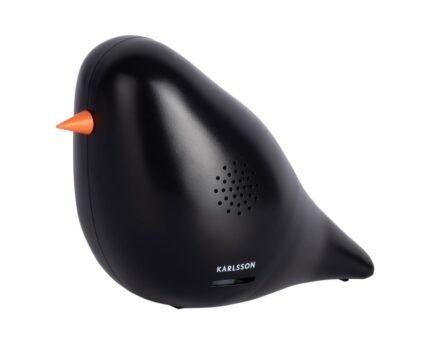 Garso dėžutė BIRD