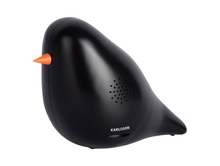 Garso dėžutė BIRD