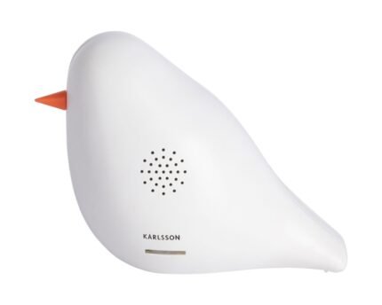 Garso dėžutė BIRD