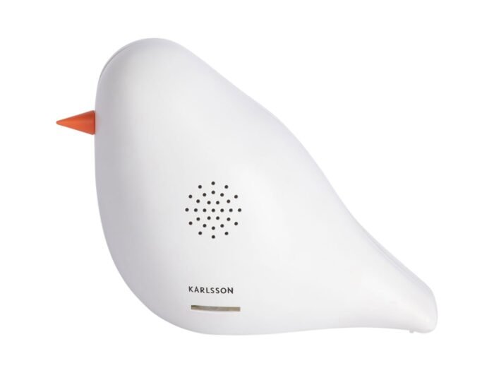 Garso dėžutė BIRD
