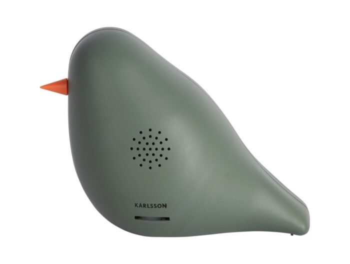 Garso dėžutė BIRD