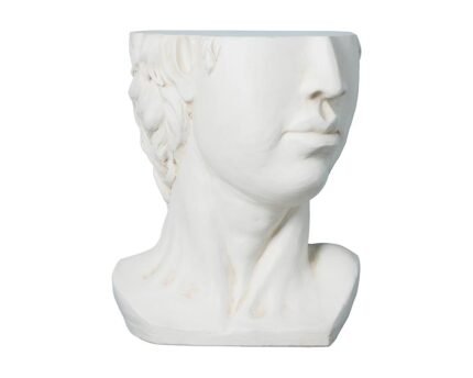 Sieninė lentynėlė DAVID
