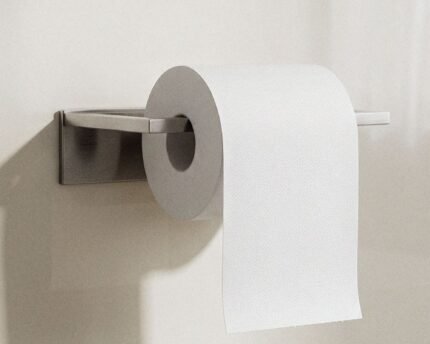 WC popieriaus laikiklis KANTERA, šlifuoto plieno