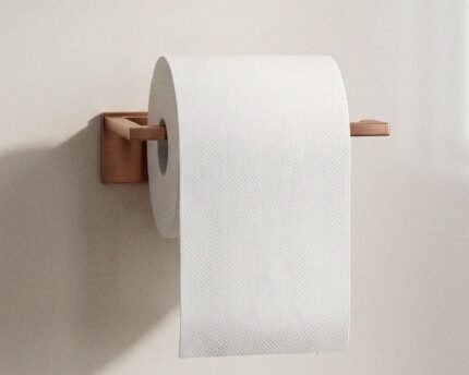 WC popieriaus laikiklis KANTERA, varinis