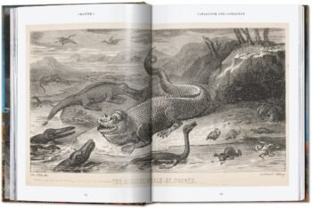 PALEOART_VISIONS_OF_THE_PREHISTORIC_PAST_knyga_dizaino_studija_follow11.lt - Jovita Bingelytė