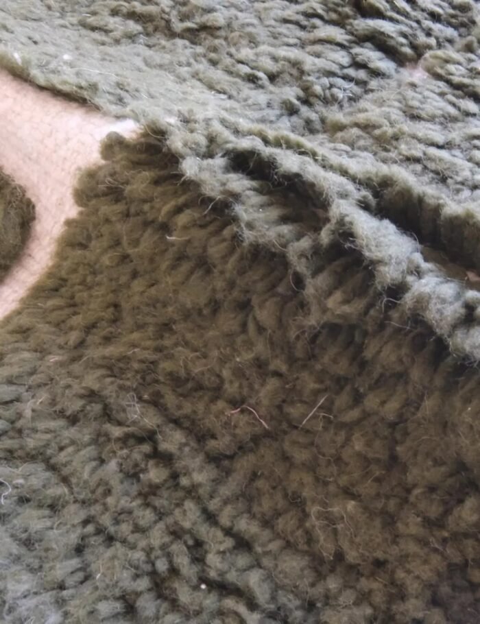 Chic ethnic Berber wool rug