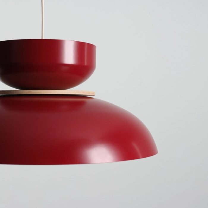 Pakabinamas šviestuvas ALDO RED WINE — 2