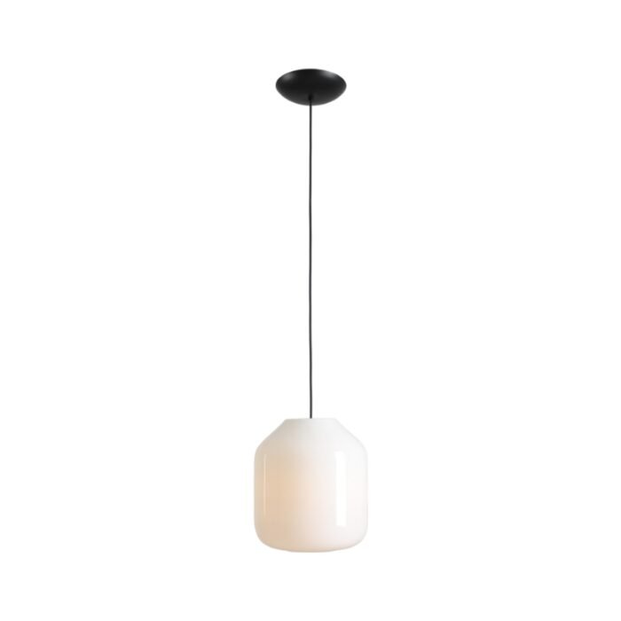 Pakabinamas šviestuvas FLASK ORCHID L