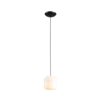 Pakabinamas šviestuvas FLASK ORCHID S