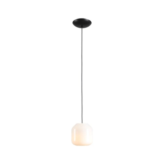 Pakabinamas šviestuvas FLASK ORCHID S