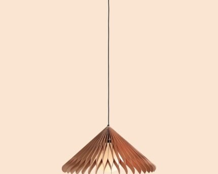Pakabinamas šviestuvas NATURE SUN L — 1