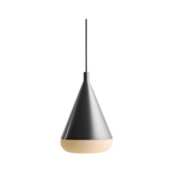 Pakabinamas šviestuvas TORO L RAW STEEL, ⌀18xH28 cm