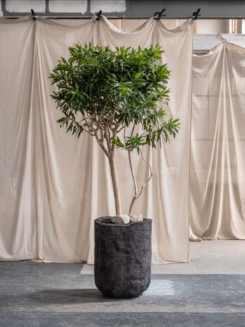 Vazonas ARCH L, Ø55xH69 cm, tamsiai rudas