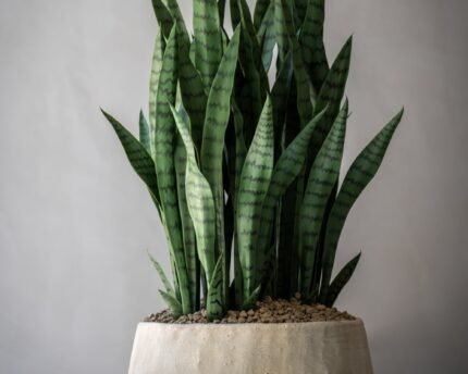 Vazonas AYA M, Ø43xH22 cm, smėlinis