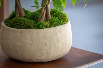 Vazonas AYA S, Ø33xH17 cm, smėlinis