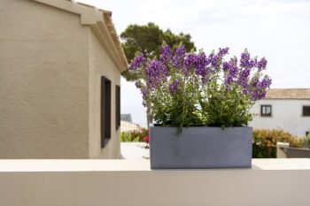 Vazonas BALCONY S, 20x50xH20 cm, tamsiai pilkas
