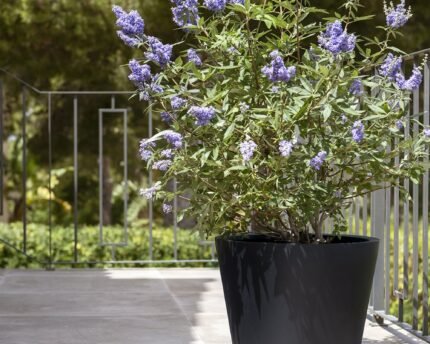 Vazonas BUCKET S, Ø50xH40 cm, juodas