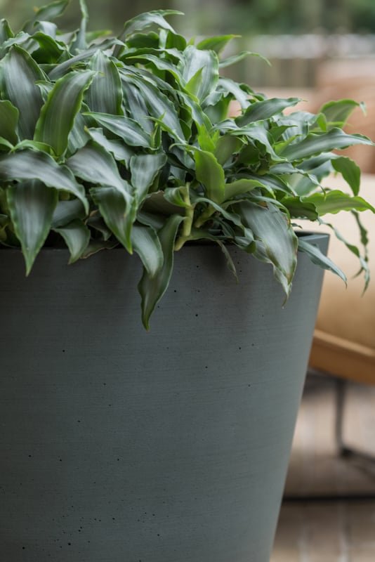 Vazonas BUCKET S, Ø50xH40 cm, pušų žalias
