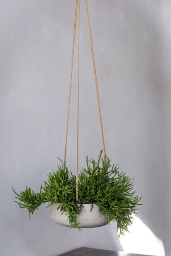 Vazonas EILEEN M (PAKABINAMAS), Ø29xH11 cm, šviesiai pilkas