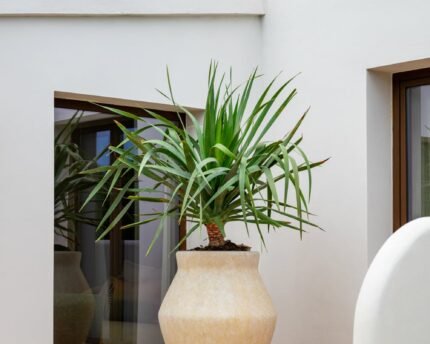 Vazonas FLEURI HIGH L, Ø61xH75 cm, travertino
