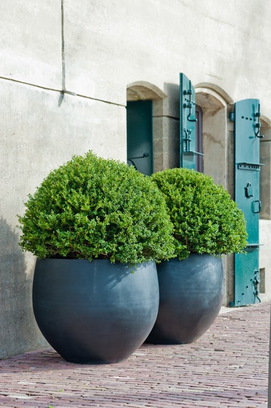 Vazonas JUMBO ORB L, Ø133xH114 cm, juodas