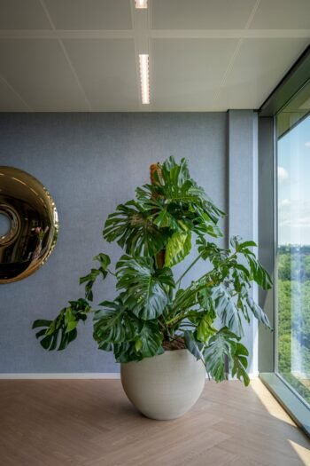Vazonas JUMBO ORB XS, Ø69xH57 cm, pilkai smėlinis