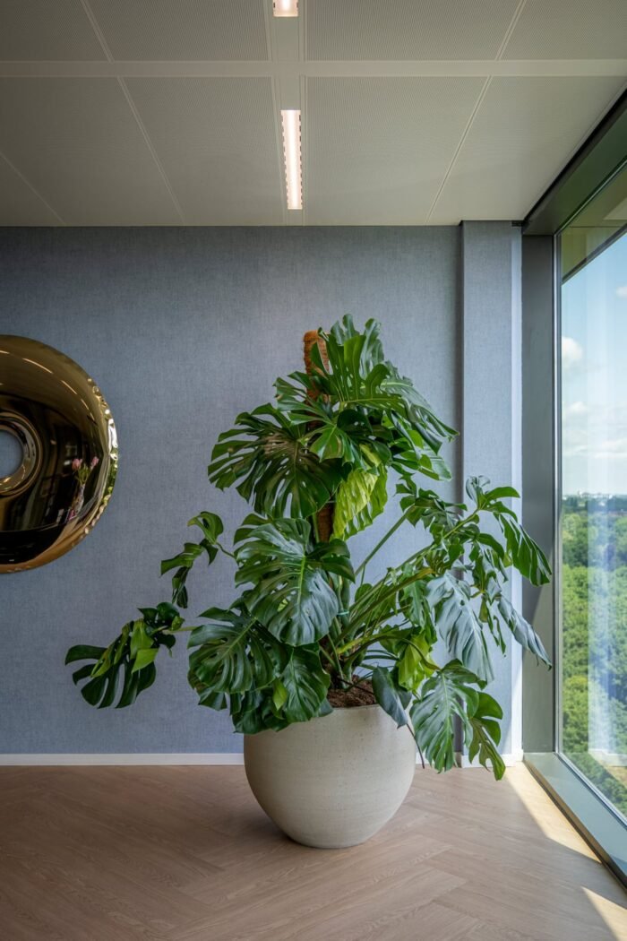 Vazonas JUMBO ORB XS, Ø69xH57 cm, pilkai smėlinis