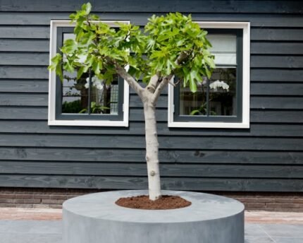 Vazonas JUMBO SEATING ROUND, Ø140xH47,5 cm, juodas